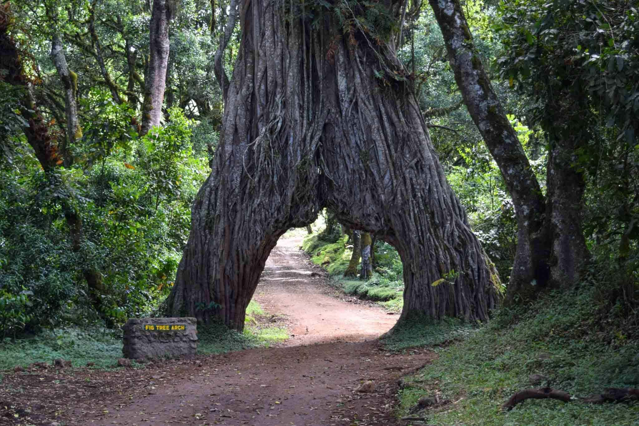 Arusha National Park