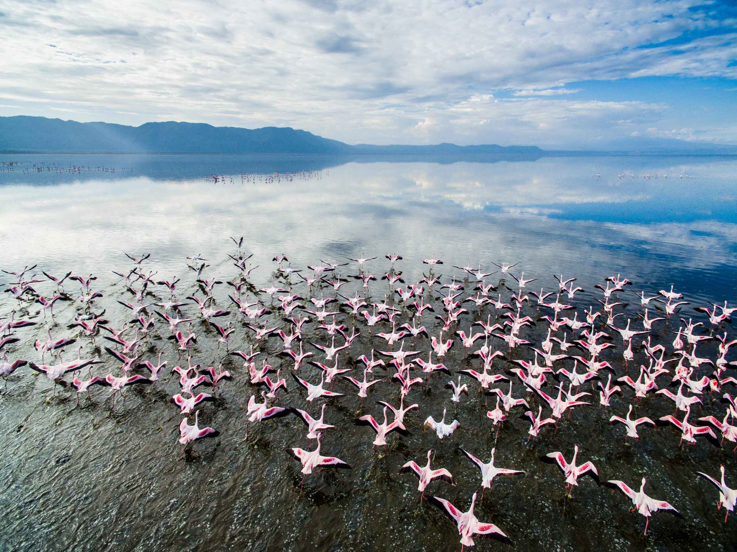 Manyara National Park