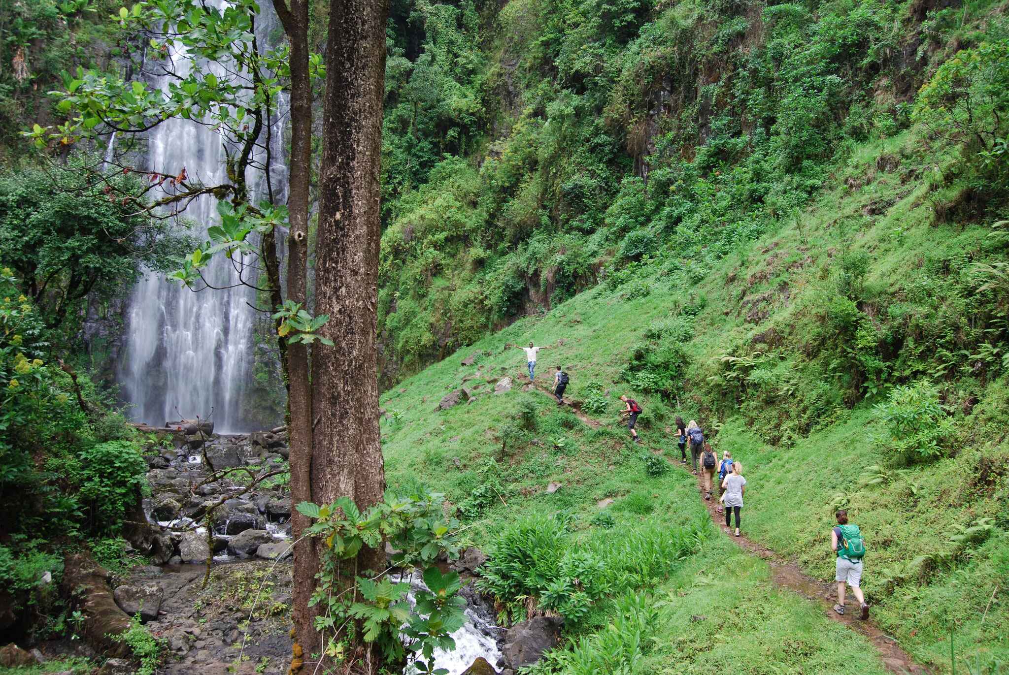 Materuni Coffee and Waterfalls Tour