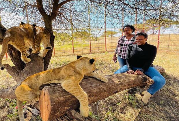 Serval Wildlife Sanctuary